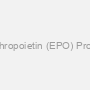 Human Erythropoietin (EPO) Protein (Active)